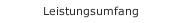 Leistungsumfang